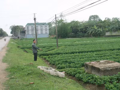 Khu đất ven tỉnh lộ 296 có nhiều sổ đỏ cùng lúc