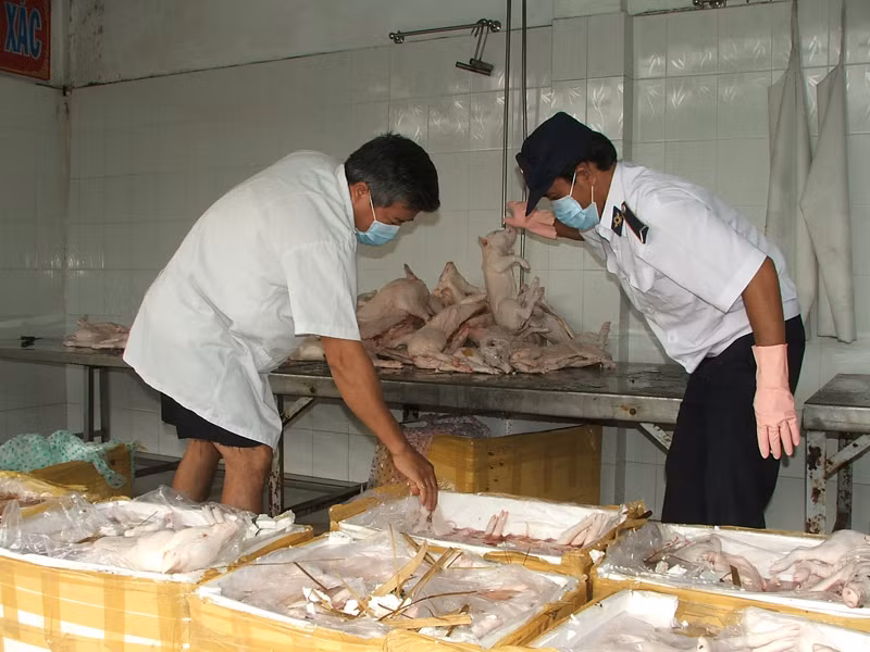 Thịt bẩn tiềm ẩn mối nguy hại cho sức khỏe vẫn hằng ngày tuồn vào TPHCM Ảnh: L.N