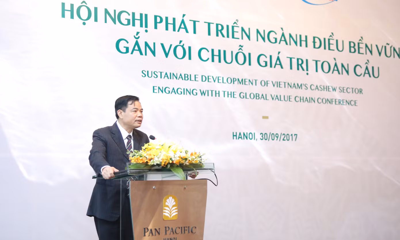 ‘Gỡ rối’ ngành điều Việt Nam và tham vọng 3 tỷ USD ảnh 1