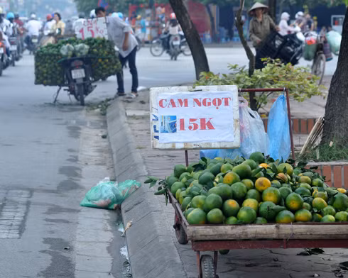 Tất cả những người bán hàng đều khẳng định đây là loại cam ngọt của Hà Giang