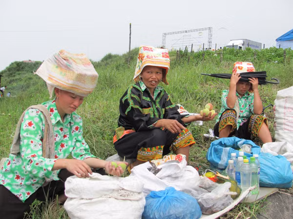 Quả đào tiên được bày bán nhiều. Ảnh: Duy Chiến