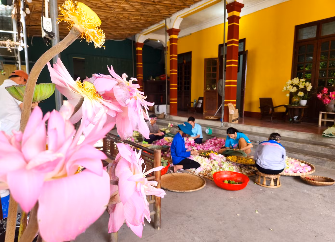 Ban đầu từ những đầm sen nhỏ lẻ, hiện anh Tiến đã có riêng 30ha đầm sen và liên kết với những hộ dân khác trồng thêm 40ha sen để phục vụ sản xuất các sản phẩm từ hoa sen.