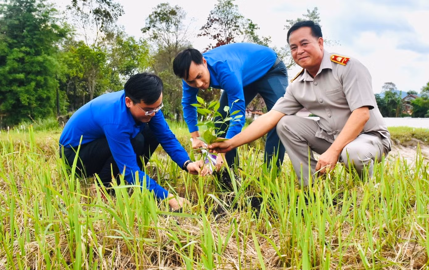 Hỗ trợ 100 cây cam giống và tập huấn chuyển giao khoa học kỹ thuật trồng trọt cho các mô hình kinh tế thanh niên. Hỗ trợ 100 cây cam giống và tập huấn chuyển giao khoa học kỹ thuật trồng trọt cho các mô hình kinh tế thanh niên.