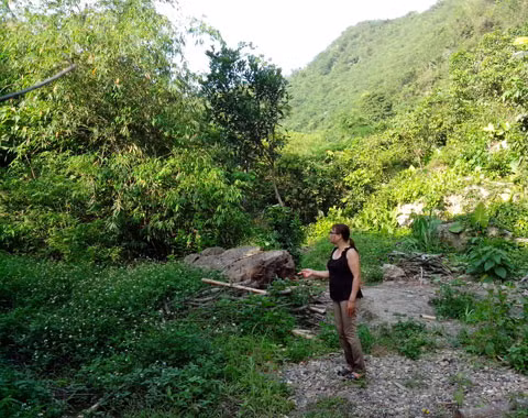Một khu đất trang trại đang chào bán với mức giá siêu rẻ. Ảnh: Ngọc Dương 