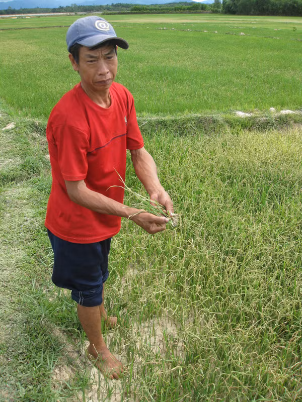 Nông dân Võ Văn Hưởng: “Chỉ cần 1 mồi lửa là lúa cả xã cháy rụi”