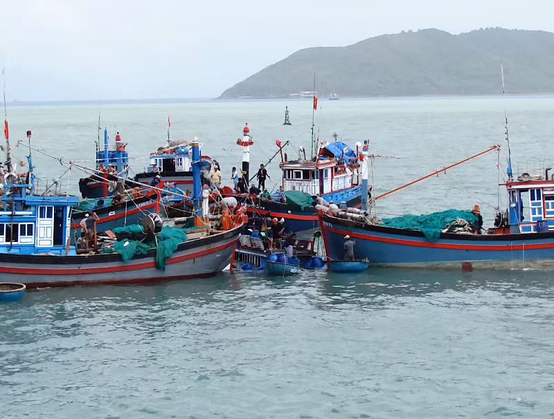 Nhiều tàu ngư dân tham gia trục vớt