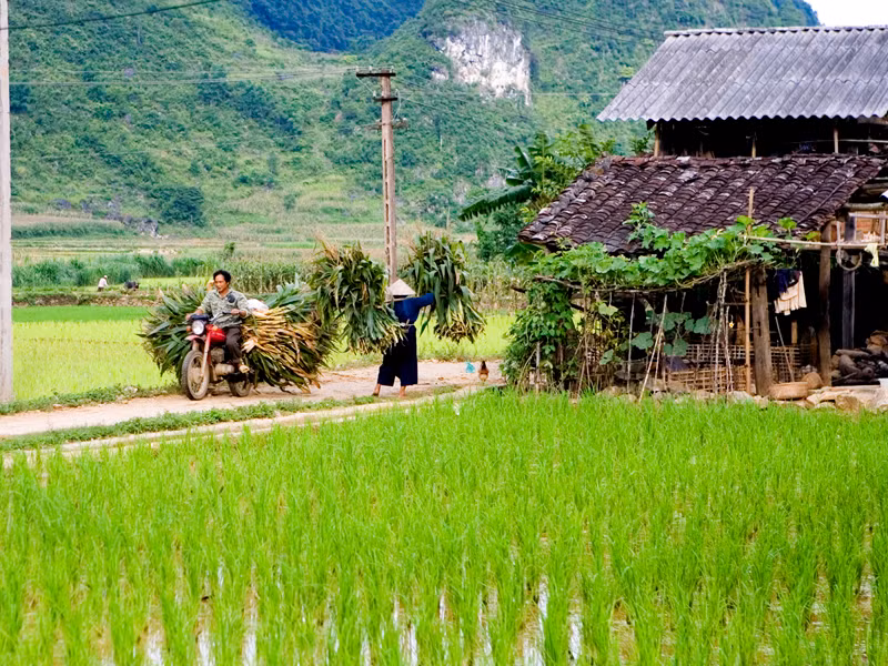 GS Võ nói, nếu không xóa bỏ thời hạn giao đất nông nghiệp, không thể kêu gọi đầu tư lớn từ người dân Ảnh: Hồng Vĩnh 