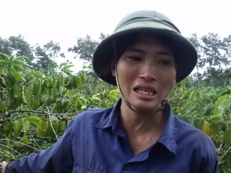  Chị Hương khóc ròng vì hợp đồng bị phá
