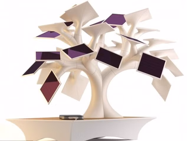 Cây bonsai Electree+