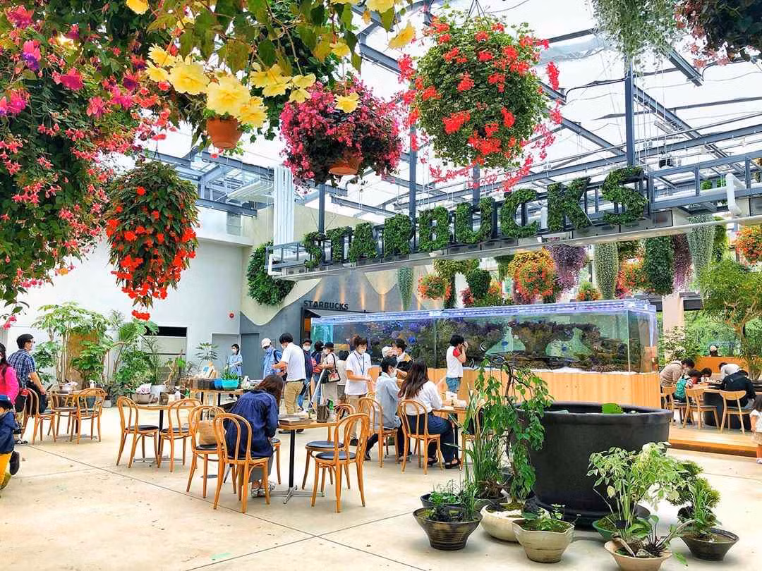 Bên trong cửa hàng Starbucks nhà kính ngàn hoa “đốn tim” các tín đồ sống ảo ở Nhật Bản ảnh 3