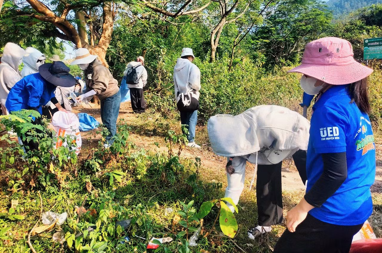 Hàng trăm bạn trẻ kéo lên tuyến đường lên chùa Linh Ứng thu gom rác. Đây là mái nhà của những đàn voọc chà vá chân nâu - nữ hoàng linh trưởng. Mỗi ngày có cả ngàn lượt khách lên tham quan bán đảo Sơn Trà.