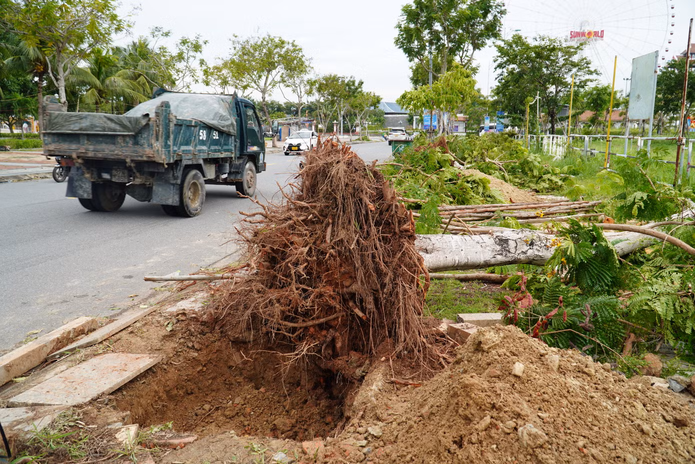 Cây xanh có đường kính nhỏ hơn 20cm bị ngã đổ nhưng còn rễ chính, rễ phụ và bầu rễ vẫn đảm bảo khả năng sinh trưởng sẽ được trồng lại. Hiện một số vị trí cây gãy đổ đã được đào sẵn hố chuẩn bị trồng lại.