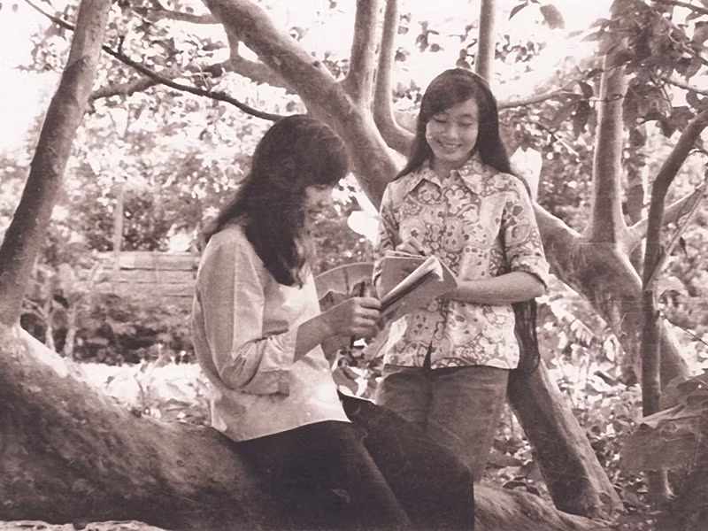 Thiếu nữ Hà Nội bên rặng ổi Quảng Bá (1962)