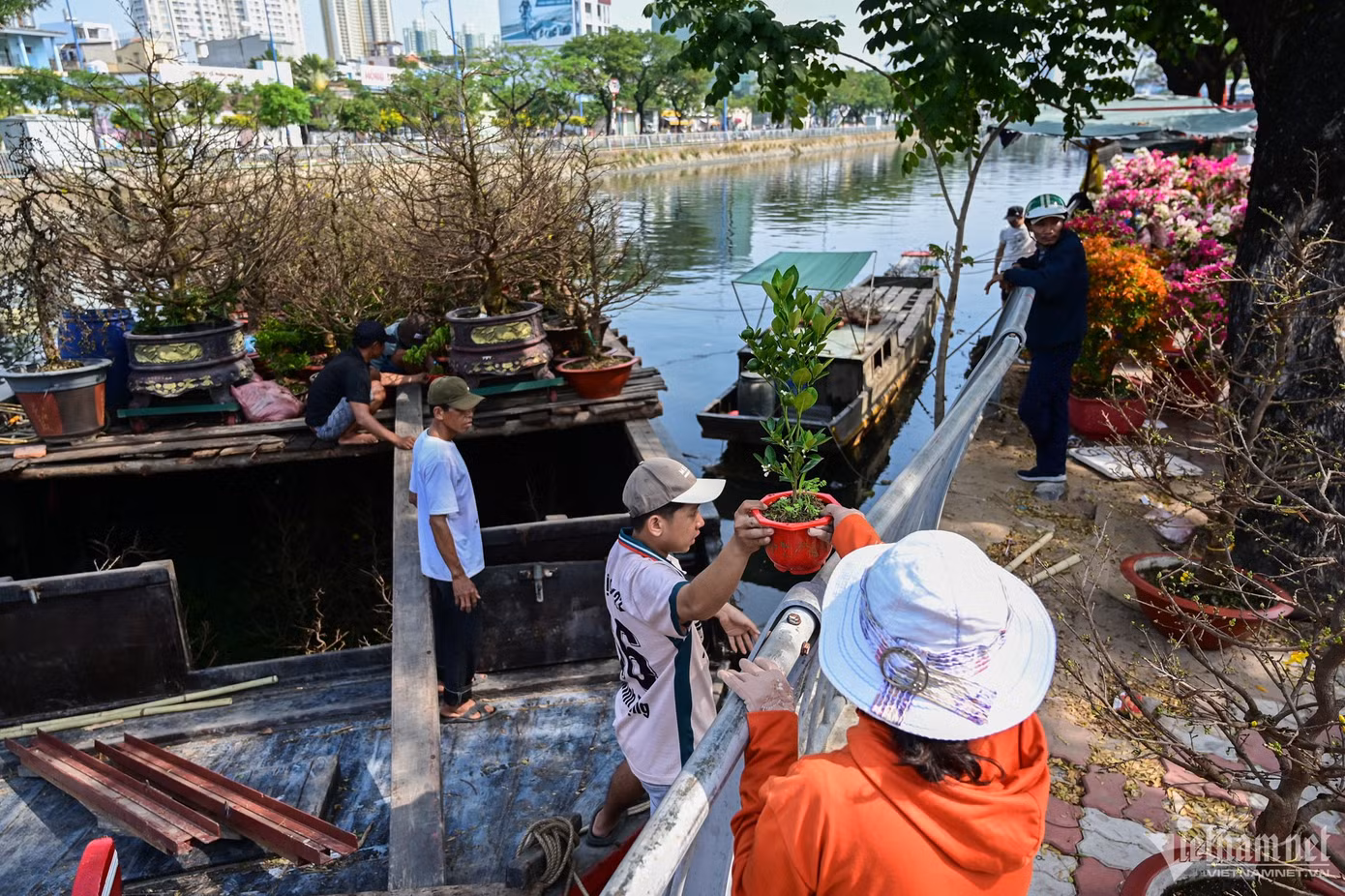 Ngay khi vừa cập bờ, các thành viên trên ghe nhanh chóng chuyển cây lên bày bán. Hàng của anh Toàn gồm ớt trái tim, cây sam hương, cây khế, cây quất mini giá từ 50.000 đồng/cây. "Chỉ cần cho ghe thuận lợi cập bến sẽ bán buôn may mắn. Năm ngoái tôi phải chở cây bán ế mang về nhưng năm nay nhận được tin Sở Du lịch TP.HCM và quận 8 sẽ mua hoa bán không hết của tiểu thương nên rất phấn khởi", anh Toàn tâm sự.