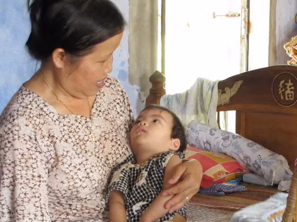 Bé Mèo tưởng chừng không sống nổi khi mới nhận về, nay đã khỏe mạnh hồng hào 