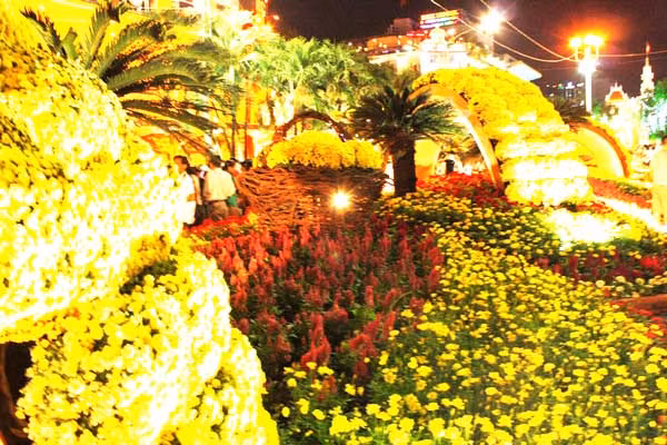 Hoa lung linh trong ánh đèn