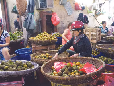 Hoa quả dập thối, được bày bán tràn lan tại chợ đầu mối Long Biên