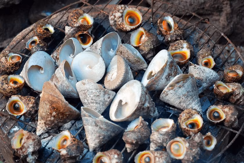 Ốc vú nàng.