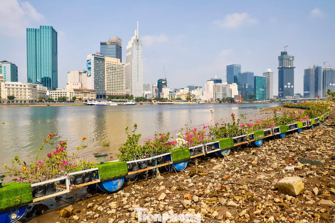 Dọc bờ sông công viên là hệ thống bè trồng cây thủy sinh, bên dưới là các thùng phao đỡ, khi nước sông lên cao, giàn cây thủy sinh sẽ tạo nên cảnh quan đặc sắc thu hút du khách đến đây.