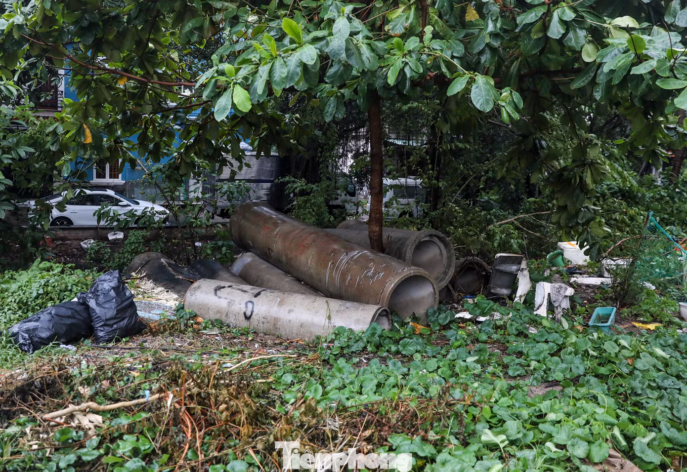 Công trình cũng bố trí 55 hố thu kết nối thoát nước dọc bờ và xây mới 9 cống xả, cống qua đường. Dọc hai bờ, dự án làm đường rộng 6m cùng vỉa hè và hệ thống thoát nước; chiếu sáng, lan can.