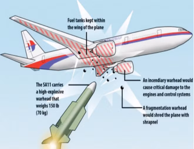 Một số gia đình nạn nhân MH17 định kiện ông Putin ảnh 1