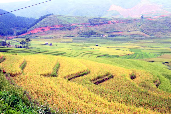 Một mùa bội thu