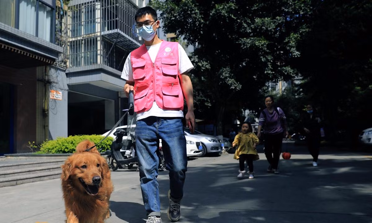 Hình ảnh một chàng trai dắt chó đi dạo thuê tại Thành Đô, Tứ Xuyên (Trung Quốc) hôm 17/3/2022. Ảnh:VCG Hình ảnh một chàng trai dắt chó đi dạo thuê tại Thành Đô, Tứ Xuyên (Trung Quốc) hôm 17/3/2022. Ảnh:VCG