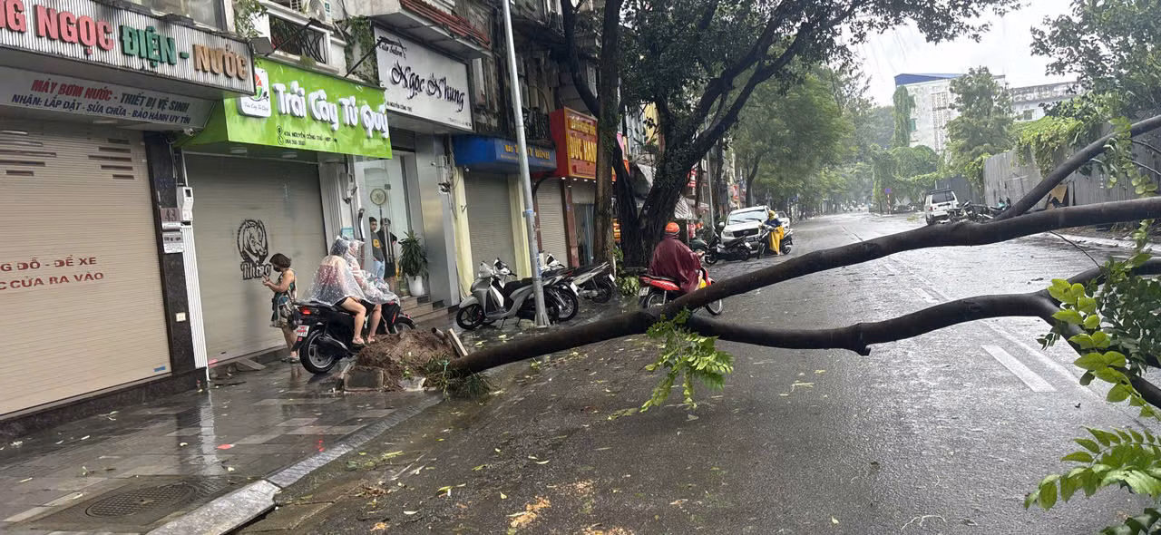 Tại đường Nguyễn Công Trứ, cây đổ chiếm hơn 1/2 con đường.
