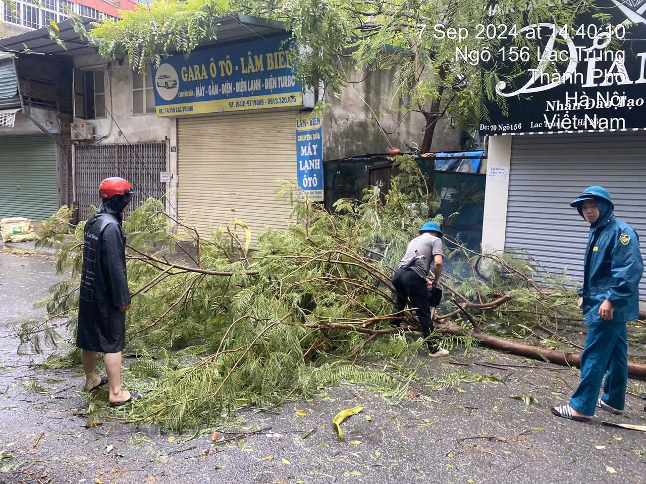 Nhiều cây trong khu vực Hai Bà Trưng bị đổ gãy do ảnh hưởng của bão. Ẩnh: Nam Tiến