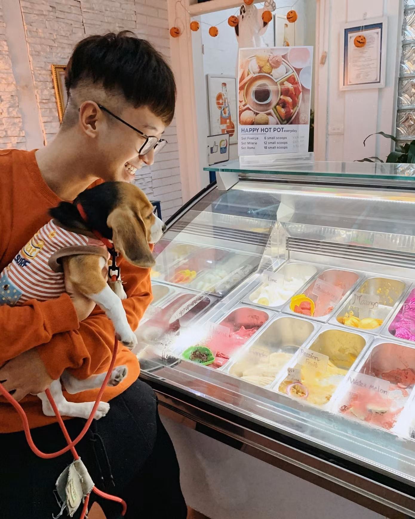 Dưa Hấu không chỉ là thú nuôi mà còn là một người bạn của Ninh Tito