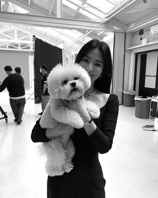 Bức hình Song Hye Kyo chia sẻ cùng ngày chồng cũ cập nhật Instagram Bức hình Song Hye Kyo chia sẻ cùng ngày chồng cũ cập nhật Instagram