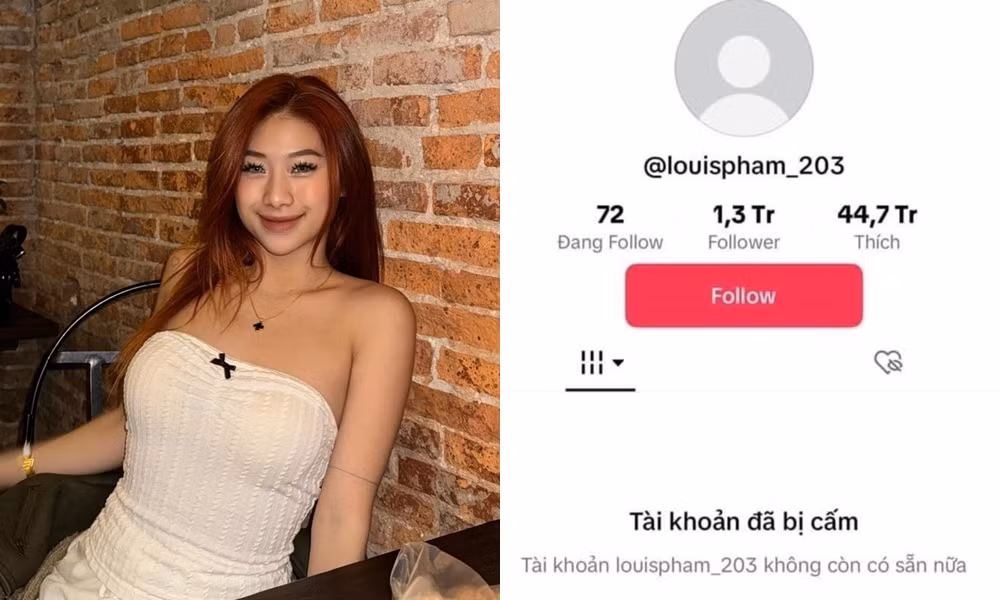 Tài khoản TikTok dù có tới hơn 1 triệu người theo dõi nhưng đã bị cấm.