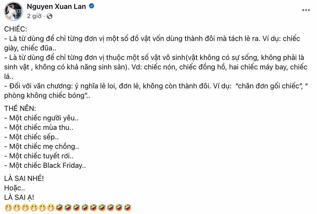 Xuân Lan tiếp tục bắt lỗi một bài đăng khác khi sử dụng sai từ "chiếc".
