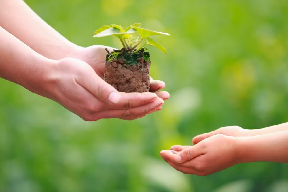 Gom rác đổi cây là chiến dịch rất ý nghĩa Gom rác đổi cây là chiến dịch rất ý nghĩa