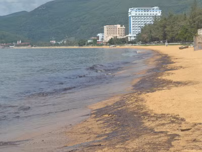  Vết dầu đen ngòm tấp đầy bờ biển Quy Nhơn. ảnh Việt Hương