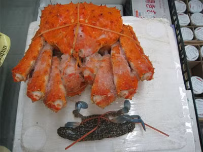Cận cảnh cua hoàng đế