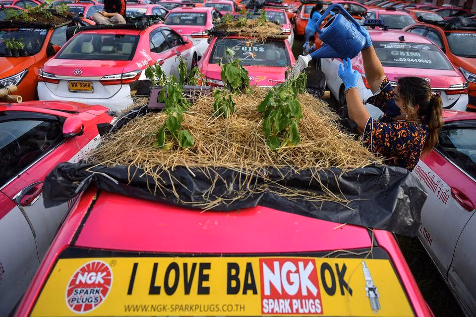 Dự kiến, mô hình vườn rau trên nóc taxi ở đường Bang Waek sẽ được nhân rộng (Ảnh: Reuters) Dự kiến, mô hình vườn rau trên nóc taxi ở đường Bang Waek sẽ được nhân rộng (Ảnh: Reuters)