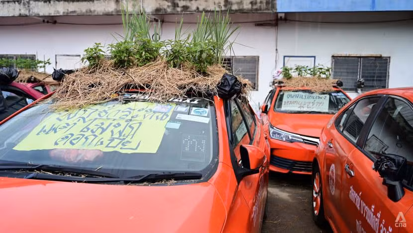 Nóc của những chiếc xe taxi do Ratchapruek quản lý ở bãi đậu trên đường Bang Waek đã biến thành những vườn rau bất đắc dĩ (Ảnh: Pichayada Promchertchoo) Nóc của những chiếc xe taxi do Ratchapruek quản lý ở bãi đậu trên đường Bang Waek đã biến thành những vườn rau bất đắc dĩ (Ảnh: Pichayada Promchertchoo)