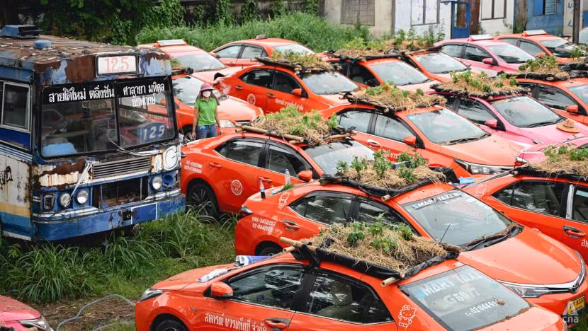 Khi những chiếc xe taxi không thể lăn bánh, kéo theo đó là những khoản nợ đặt lên vai cấp quản lý cũng như nhân viên, tài xế. (Ảnh: Pichayada Promchertchoo) Khi những chiếc xe taxi không thể lăn bánh, kéo theo đó là những khoản nợ đặt lên vai cấp quản lý cũng như nhân viên, tài xế. (Ảnh: Pichayada Promchertchoo)