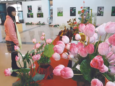 Gian trưng bày tôn vinh hoa sen tại Trung tâm Triển lãm VHNT Ảnh: Xuân Phú