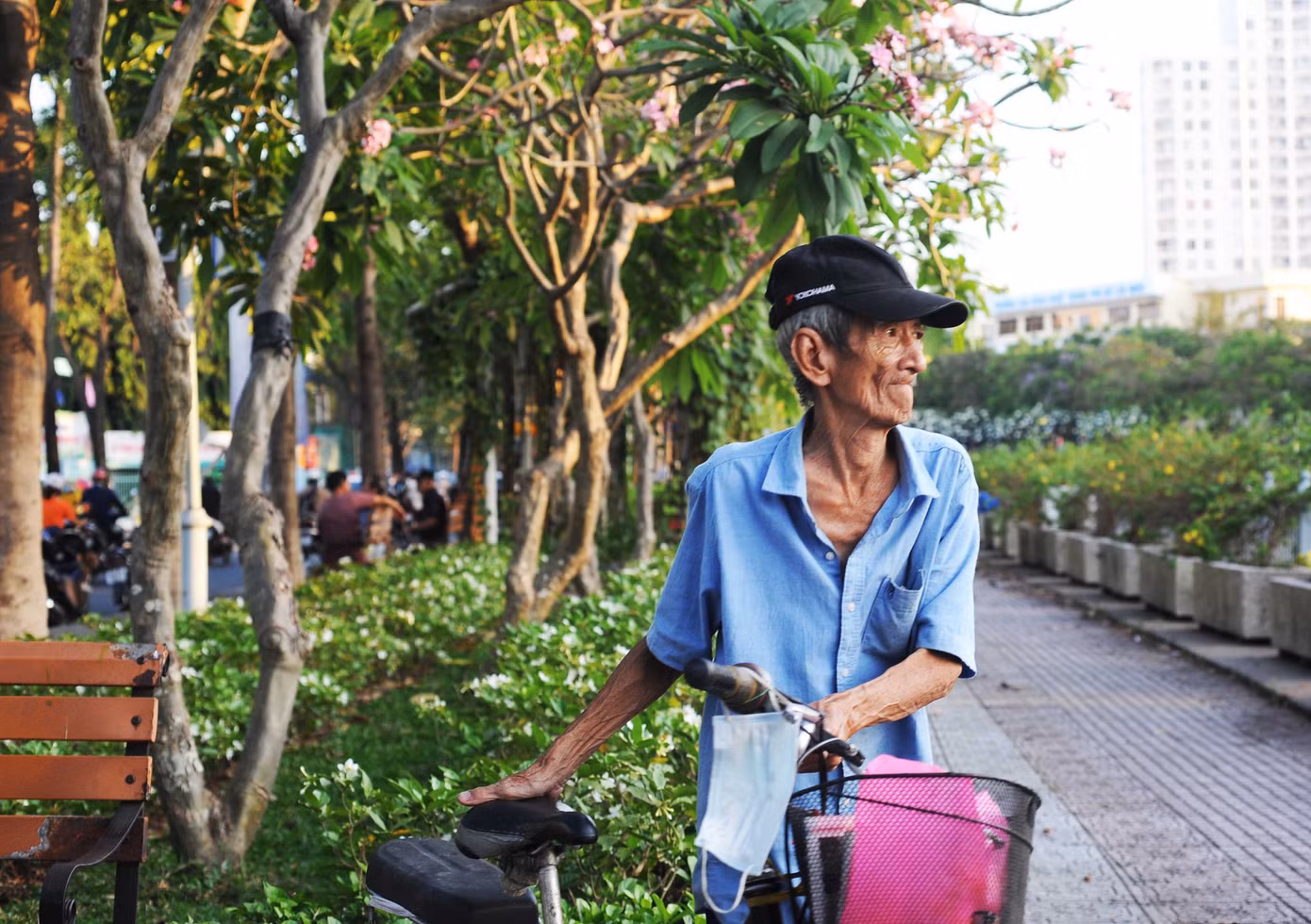 Nhiều người cũng tìm tới hàng cây để đọc sách, vãn cảnh