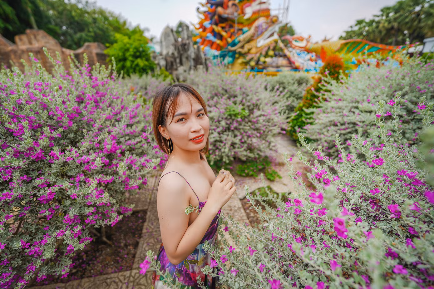 Hai du khách nữ đang tạo dáng cùng những khóm hoa đang bung cánh khoe sắc. Đại diện KDL Suối Tiên cho biết, hoa nở liên tục vào mùa thu và mùa xuân, mỗi đợt cách nhau khoảng 3 tháng. Tuy nhiên, mỗi đợt hoa nở chỉ kéo dài từ 10 - 12 ngày.