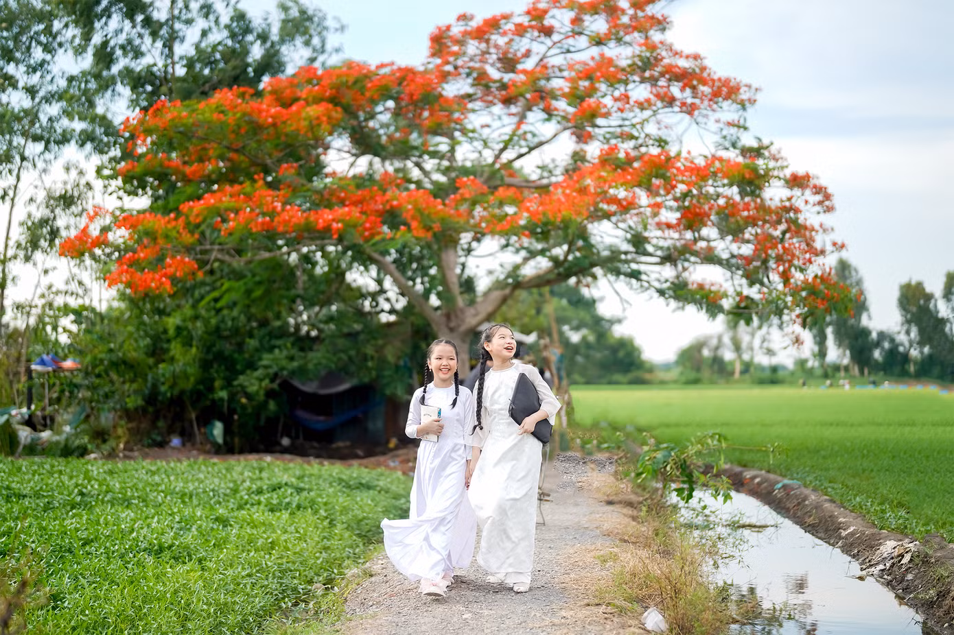 Bé Hoàng Uyên (11 tuổi, bên phải, ngụ quận Gò Vấp) và Bảo Ngân (10 tuổi, ngụ Quận 8) lần đầu đến chụp ảnh lưu niệm tại đây cũng khá phấn khích. Bé Hoàng Uyên (11 tuổi, bên phải, ngụ quận Gò Vấp) và Bảo Ngân (10 tuổi, ngụ Quận 8) lần đầu đến chụp ảnh lưu niệm tại đây cũng khá phấn khích.