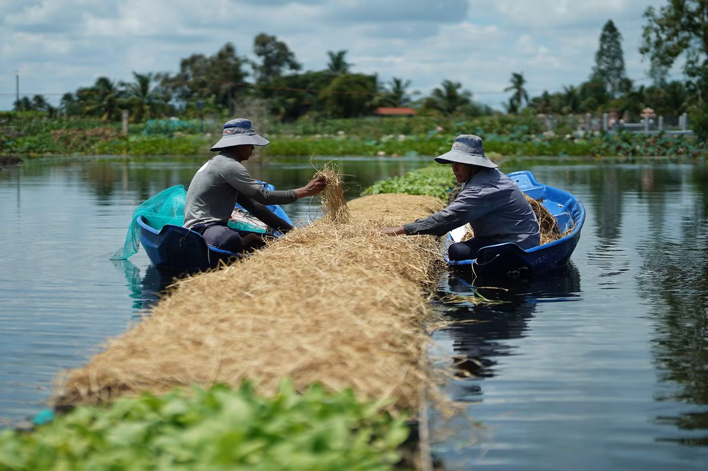 Nhân công vườn rau không mất công tưới và diệt trừ sâu bệnh, chỉ gia công các giá thể theo các quy chuẩn và chờ đến ngày thu hoạch. Việc chăm sóc cũng dễ hơn so với trồng trên bờ. Tại đây, anh tạo việc làm thường xuyên cho 10-12 lao động có thu nhập ổn định.