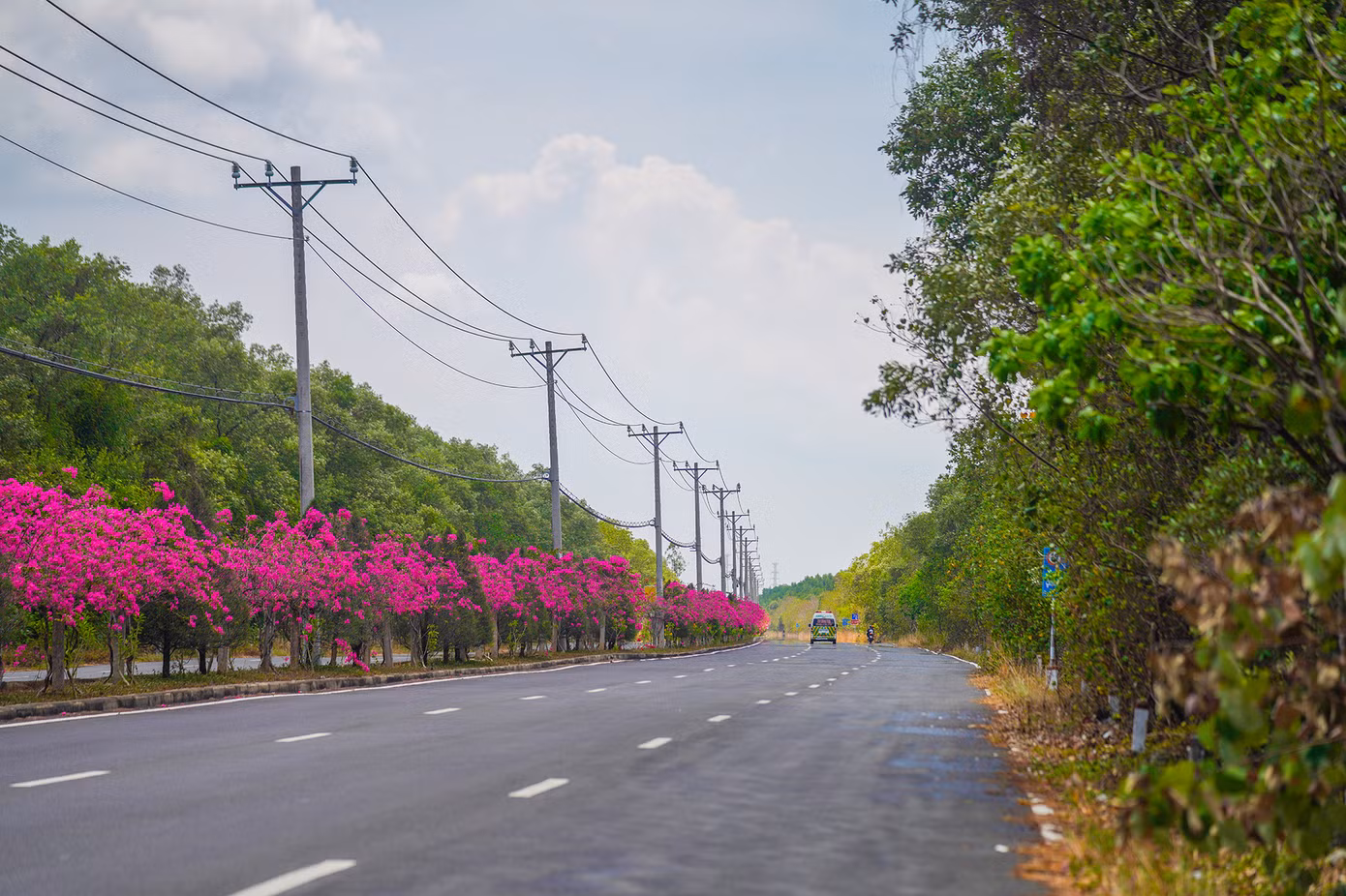 Đường Rừng Sác (Cần Giờ) là tuyến đường độc đạo đưa du khách vượt cánh rừng, tiến sát bờ biển. Dọc tuyến đường, khách tham quan được tận hưởng không khí trong lành với hệ thống động, thực vật đặc trưng. Đường Rừng Sác (Cần Giờ) là tuyến đường độc đạo đưa du khách vượt cánh rừng, tiến sát bờ biển. Dọc tuyến đường, khách tham quan được tận hưởng không khí trong lành với hệ thống động, thực vật đặc trưng.