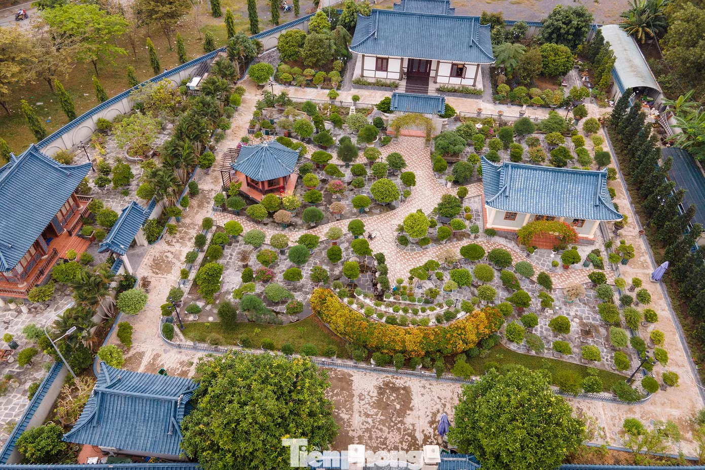 Thời gian gần đây, nhiều cây cảnh tại khu vườn này đã được rao bán.