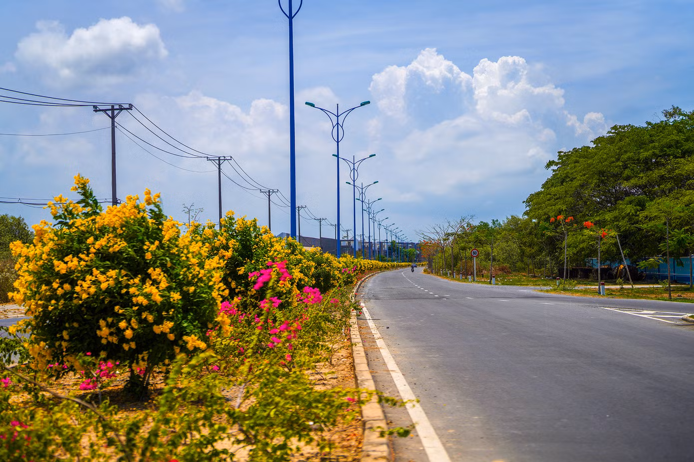 Những ngày này, đường nội đô trung tâm huyện nhuộm vàng sắc huỳnh liên đang bung nở. Những ngày này, đường nội đô trung tâm huyện nhuộm vàng sắc huỳnh liên đang bung nở.
