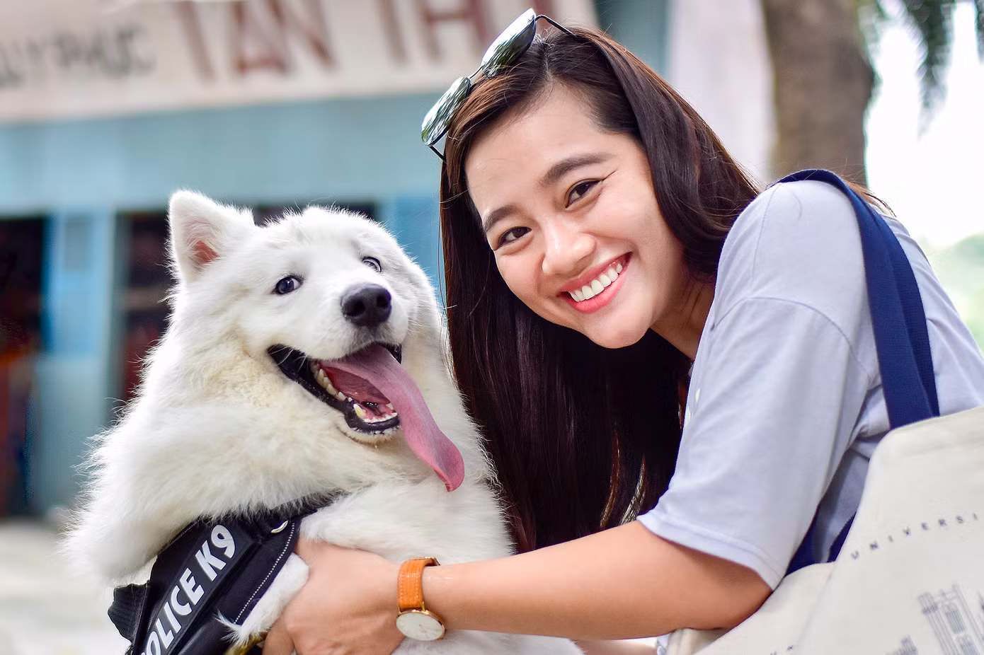 Các hoạt động dành cho thú cưng luôn thu hút du khách nhưng số lượng các sự kiện và cuộc thi lĩnh vực này có thể thấy chưa nhiều.
