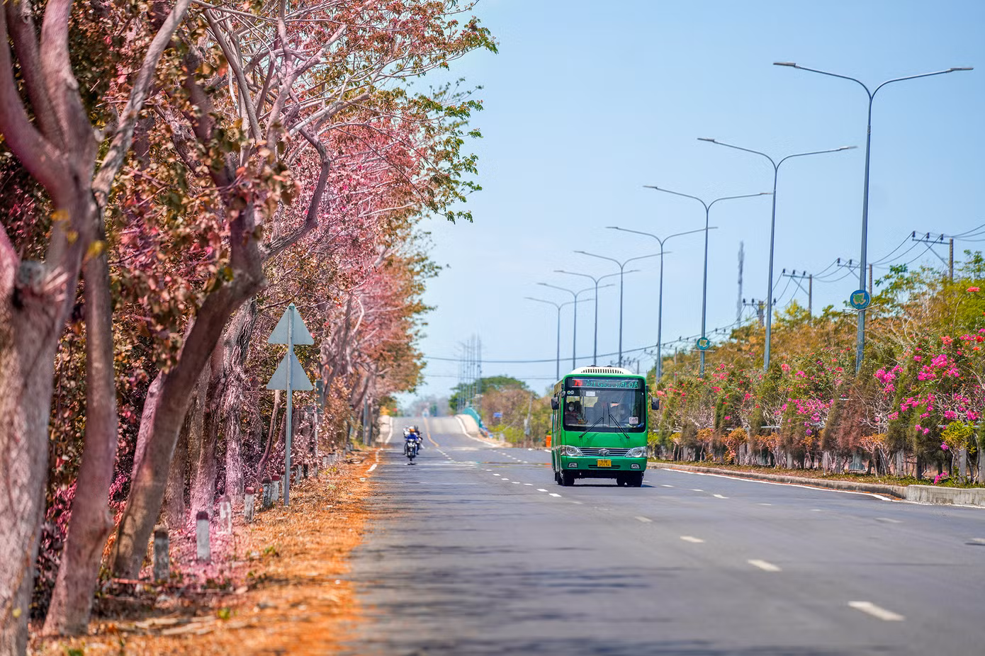 Đường Rừng Sác với tông màu mang hơi thở của mùa thu. Đường Rừng Sác với tông màu mang hơi thở của mùa thu.