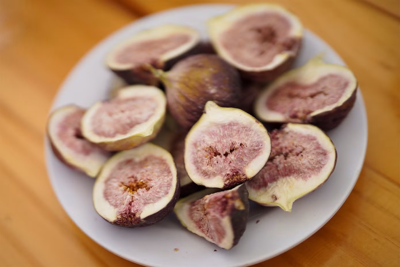 Ngoài sung tươi, tại vườn còn sản xuất nhiều sản phẩm khác như: Nước ép, sung sấy, sung làm bánh, làm rau câu... Du khách đến đây có thể mua sung Mỹ ăn trực tiếp tại vườn hoặc mua về làm quà biếu sang trọng. Ngoài sung tươi, tại vườn còn sản xuất nhiều sản phẩm khác như: Nước ép, sung sấy, sung làm bánh, làm rau câu... Du khách đến đây có thể mua sung Mỹ ăn trực tiếp tại vườn hoặc mua về làm quà biếu sang trọng.
